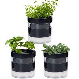 Phoenix Vine 4 Inch Self Watering Planter Pot, Black Terracotta Clay Pot with Glass Reservoir for Indoor Plants, Herbs, Flowers, Set of 3, 52-C-E-3