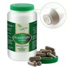 Vitaide Vegan® Bladder Drag (Fucus vesiculosus) 90 Vegetable Capsules 400