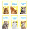 ZZBUY Cats Against Anxiety Cards, 50 Affirmation Cards for Anxiety