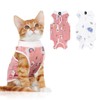 2 PCS Cat Recovery Suit for Spay Abdominal Wounds, Cat