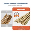 COLOtime 8FT Bamboo Stakes Plant Stakes 1 Inch Thick Diameter