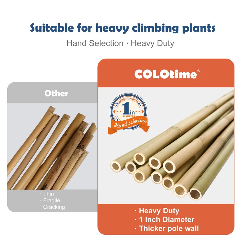 COLOtime 8FT Bamboo Stakes Plant Stakes 1 Inch Thick Diameter