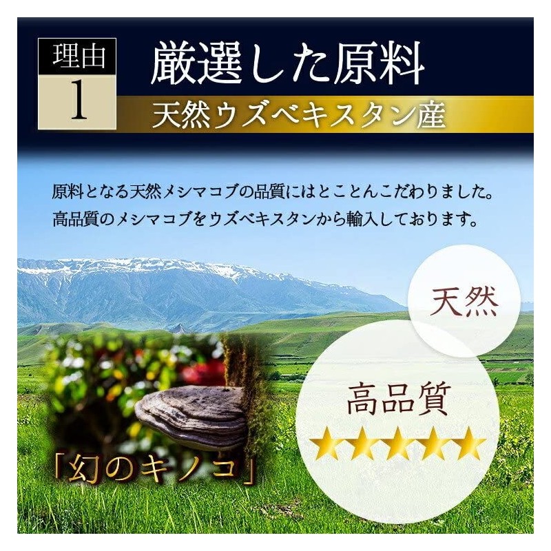 渡邊薬品 超微粉純末 天然メシマコブ 純末100% 30g (1)