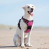 Eagloo Dog Harness No Pull, Walking Pet Harness with 2