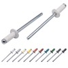 Marcopol (Pack of 100 pcs) Painted Blind Rivets 4.0 x