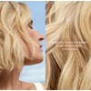 ¡NUEVOS Shampoos Yves Rocher! Nueva formula y nueva presentación (Shampoo