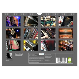 Sound Variety Accordion (Wall Calendar 2026 DIN A4 Landscape), CALVENDO Monthly Calendar: Concert and Close-up Pictures of Various Accordions (CALVENDO Art)
