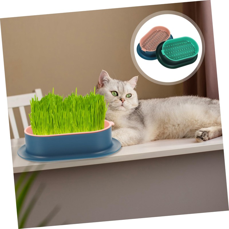BESPORTBLE 2 Sets Hydroponic Cat Grass Planter Set Soilless Catnip