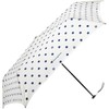 Champion CHL14MN55 Women's Mini Folding Umbrella, 21.7 inches (55 cm)