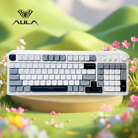 AULA S99 Membrane Keyboard, USB Charging 99 Keyboard with RGB Backlight, Ergonomic Keyboard, Comfortable Hand Gesture Keyboard, Long Endurance Keyboard, Gaming Keyboard, Computer Accessories - Color: Enchanted Plum (Gradient Purple)