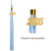 GraduationMall Single Color Graduation Tassel with 2025 Year Charm 9"