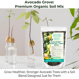 GARDENWISE Avocado Tree Soil – Premium Organic Potting Mix for Avocado Trees | Tailored pH & Organic Nutrients | Fast-Draining & Moisture-Retaining | Indoor & Outdoor Use (1 Quart)