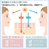 FUMITAKE 日傘 折りたたみ傘 UVカット100% 完全遮光 遮熱 ワンタッチ自動開閉 折り畳み傘 超軽量 コンパクト