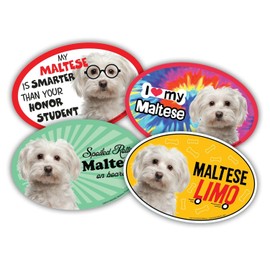 Prismatix Decal 4 Dog Cat Oval Magnets Maltese for Cars, Lockers, Refrigerators,