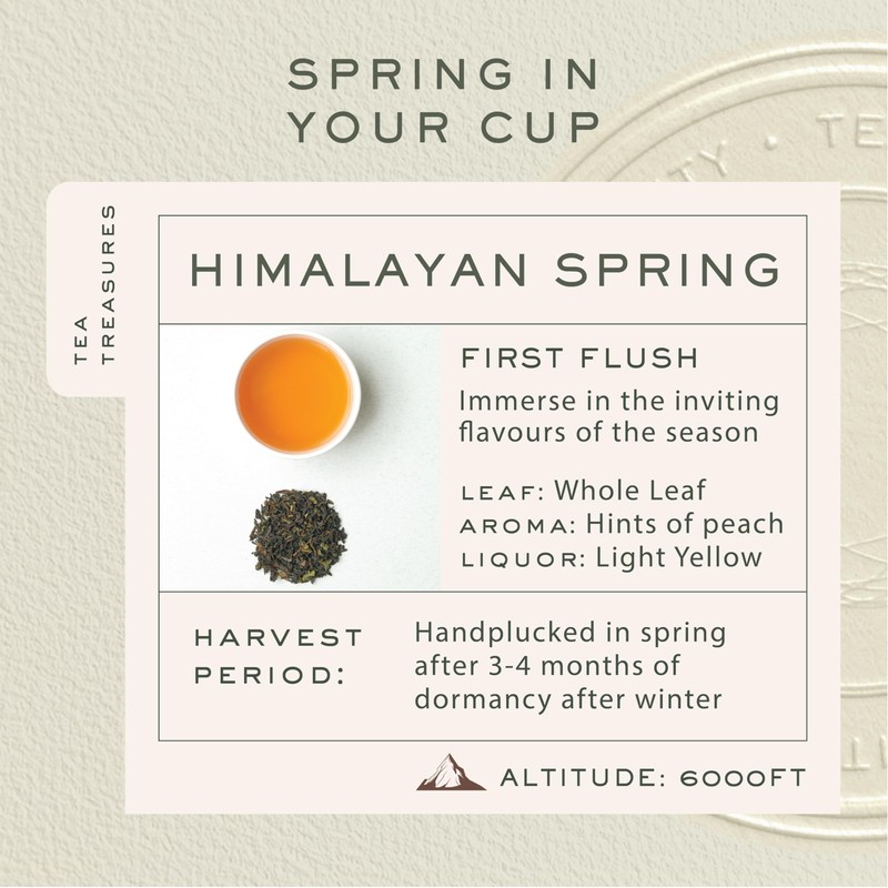 Makaibari Himalayan Spring, Special Edition First Flush Black tea 100