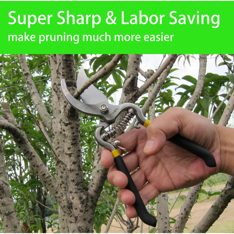 Forged Bypass Hand Clippers Pruner, with 5/8 Inch Cutting Capacity,