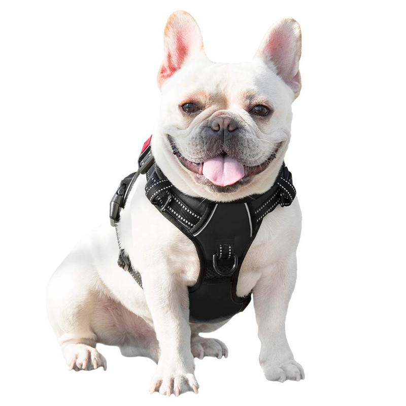 PHOEPET Arneses para perros pequeños, chaleco reflectante ajustable con clip
