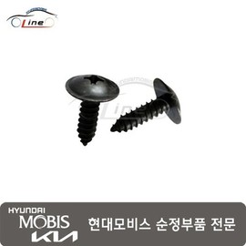 Hyundai Mobis Tapping Screw 12493 06207B / 태핑 스크류 12493 06207B