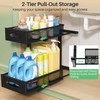 Under Sink Organizer, 2 Tier Pull out Cabinet Organizer Baskets