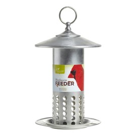 Pacific Bird and Supply PB-0037 Galvanized Mealworm Feeder, 6.25" x 6.25" x 11.25", Silver