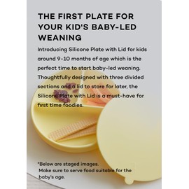 Konny EASYFEED Silicone Plate with Lid (1-4Y) 3-Divided Suction Plate Baby Led Weaning Supplies Training Baby Utensils Feeding Supplies (Baked Salmon)