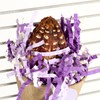 HappyBird Mahogany Cup Natural Nibble Toy for Wall Mounting, Purple/White,