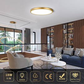 9Inch LED Flush Mount Ceiling Light Fixture, 18W(180W Equivalent), 1800LM, 5000K Daylight White, IP40, Flat Modern LED Ceiling Lights for Bedrooms, Living Rooms, Bathrooms, Stairwells, etc.(Gold)