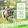 Benebone Wishbone Durable Dog Chew Toy for Aggressive Chewers –