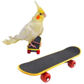 Phyxiul Bird Toy, Skateboard, Pet Supplies, Parakeet, Mini Skating Animal, Bird Stand, Training Educational Toy, Enhanced Exercise, Stress Relief Toy