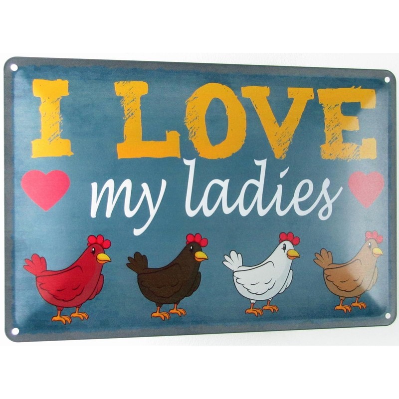 Ontrada Blechschild 20x30cm gewölbt Hühner i love my ladies Deko