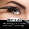 Brow, Transparente