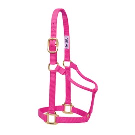 Weaver Leather Original Non-Adjustable Nylon Horse Halter, Yearling, Diva Pink