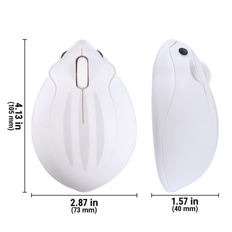 Wireless Mouse,2.4G GHz Gaming Mouse with a USB Receiver, Cute