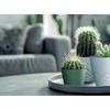 Tymar Flower Pot - Stylish Planter with Modern Pattern, Pack