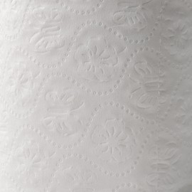 EZbrnd Premium Recycled 2-Ply Embossed Standard Core Toilet Paper/Bath Tissue/Septic Safe/Unscented, 500 Sheets x 24 rolls