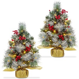 TURNMEON 2 Pack 24 inch Tabletop Small Christmas Tree with Timer 30 Warm White Lights Battery Operated Snowy Pine Cones Red Berried, Mini Xmas Trees for Christmas Decorations Indoor Home Decor