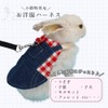 JP Number Rabbit Harness Kitten Walking 125cm Length with Lead