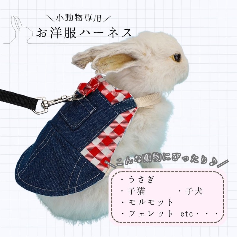 JP Number Rabbit Harness Kitten Walking 125cm Length with Lead