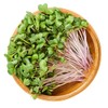 Everwilde Farms - 1 Lb China Rose Radish Seeds -