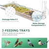 Window Bird Feeder for Outdoors with Large Feeding Trays, Clear
