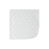 Hudson Baby Unisex Baby Flannel Cotton Washcloths 12-Pack, Wild Forest