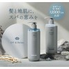 Off&Relax OR Spa Shampoo, Refill, 13.5 fl oz (400 ml),