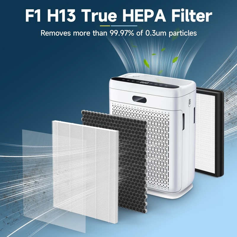 2 Pack F1 Replacement Filter Compatible with AMEIFU F1 Air