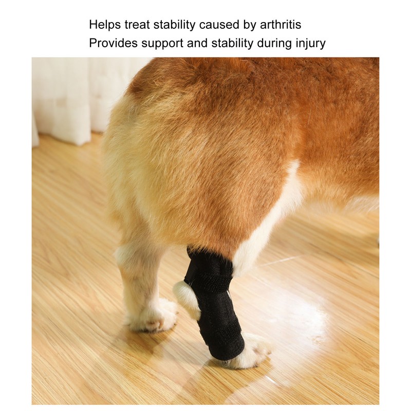 Dog Rear Leg Brace Prevent Licking Fixing Strap Spring Support