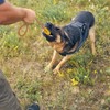 Dog Ball with String, Pack of 2 Throwing Balls with