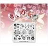 Alexnailart Nail Art Stamping Plate Chinese Style Summer Template Image