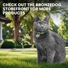 BRONZEDOG Leather Cat Collar with Buckle Adjustable Small Pet Kitten