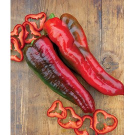 Burpee Thunderbolt Hybrid Sweet Italian Roasting Pepper Seeds | 20 Non-GMO Seeds | Vegetable Seeds for Planting | Grow Your Own Fresh Bell Pepper Live Plants