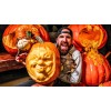 The Green Grove Garden 25+ Big Max Pumpkin Seeds -