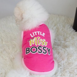 DOTEYAYP Dog Shirt 2 Pcs Summer Cotton Vests for Small Dog Cats Boy Girl (Miss Bossy, Medium)